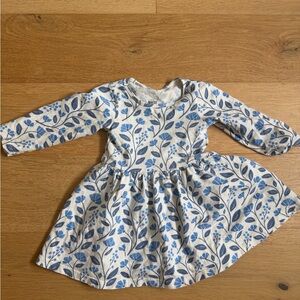 Winter Water Factory dress